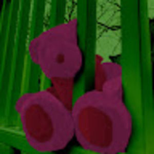 Meet your Posher, Zoe